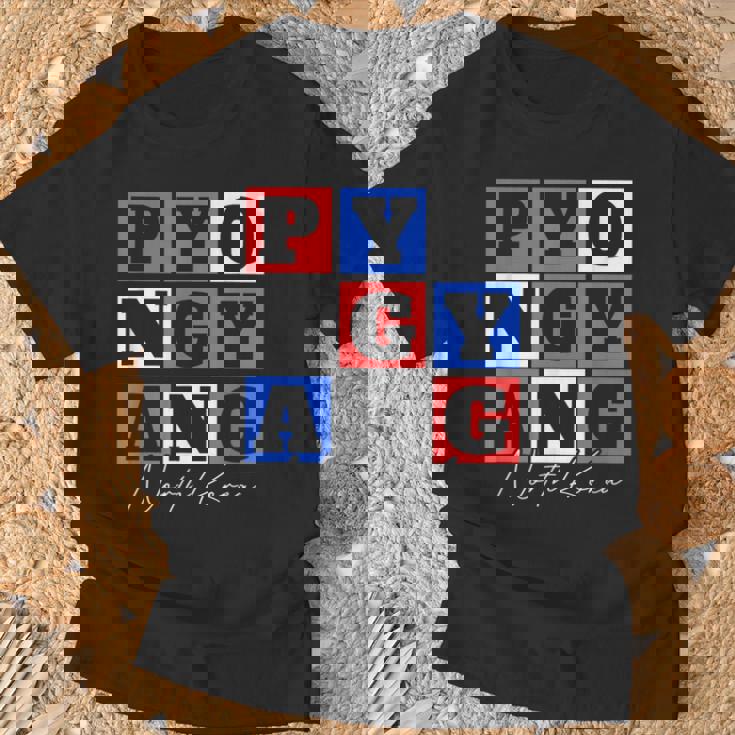 平壌 北朝鮮 旅行 バケーション お土産 Tシャツ 高齢者への贈り物