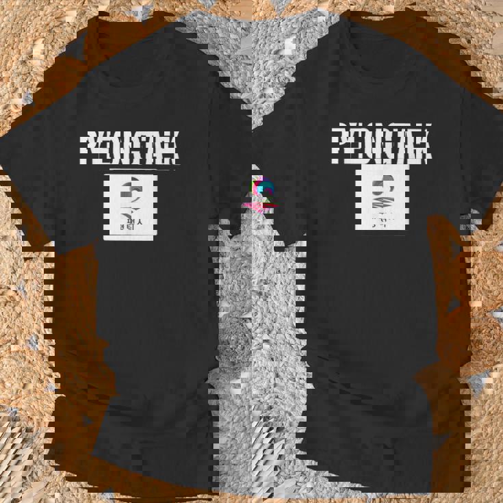 平沢旗 アパレル ナショナルプライド お土産ギフト Tシャツ 高齢者への贈り物