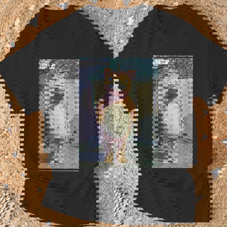 快獣ブースカシリーズ リアルスチール カラー Tシャツ 高齢者への贈り物