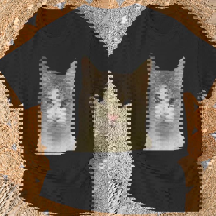 怒っている猫 リアル ミーム ウイルス インターネット Tシャツ 高齢者への贈り物