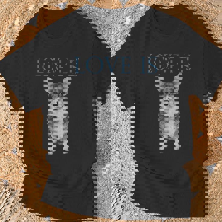 愛はコーギー Tシャツ 高齢者への贈り物