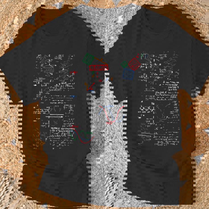 数学教師科学大学学校ギフトオタク主要数学 Tシャツ 高齢者への贈り物