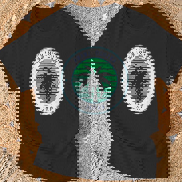 日本 奄美大島 Tシャツ 高齢者への贈り物