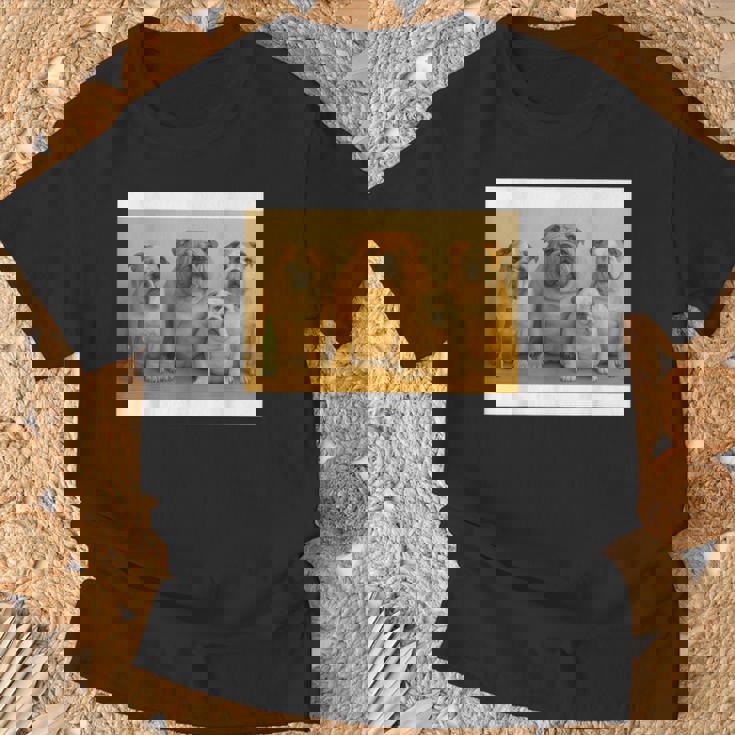 日本ブルドッグファミリー Tシャツ 高齢者への贈り物