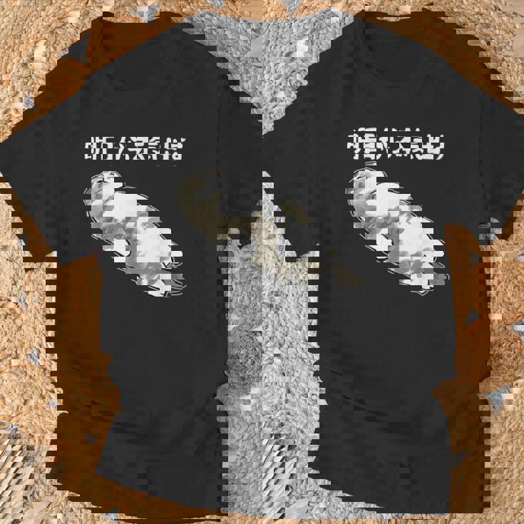 明日から本気出す 面白い猫のことわざ Tシャツ 高齢者への贈り物