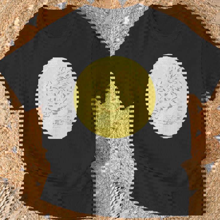 月 に映る 鳥獣戯画 兎 デザイン ウサギ うさぎ メンズ レディース キッズ 和風 和柄 グラフィック Tシャツ 高齢者への贈り物