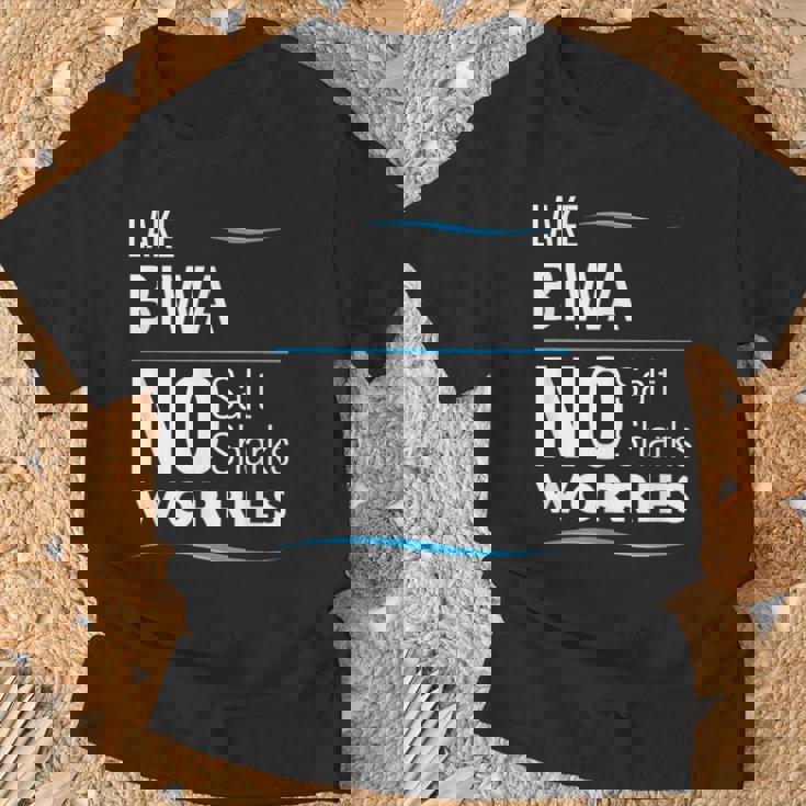 湖 ビワ ファニー Tシャツ 高齢者への贈り物