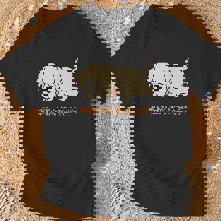 犬 おもしろ 明日から本気出す 可愛い ラブラドールレトリバー Tシャツ 高齢者への贈り物