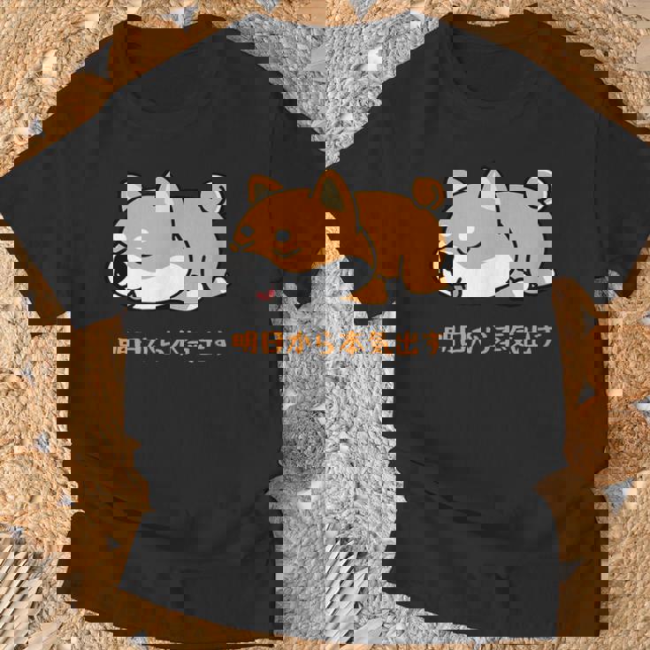 犬 おもしろ 明日から本気出す 可愛い 柴犬 シバイヌ 豆柴 マメシバ 小豆柴 Tシャツ 高齢者への贈り物