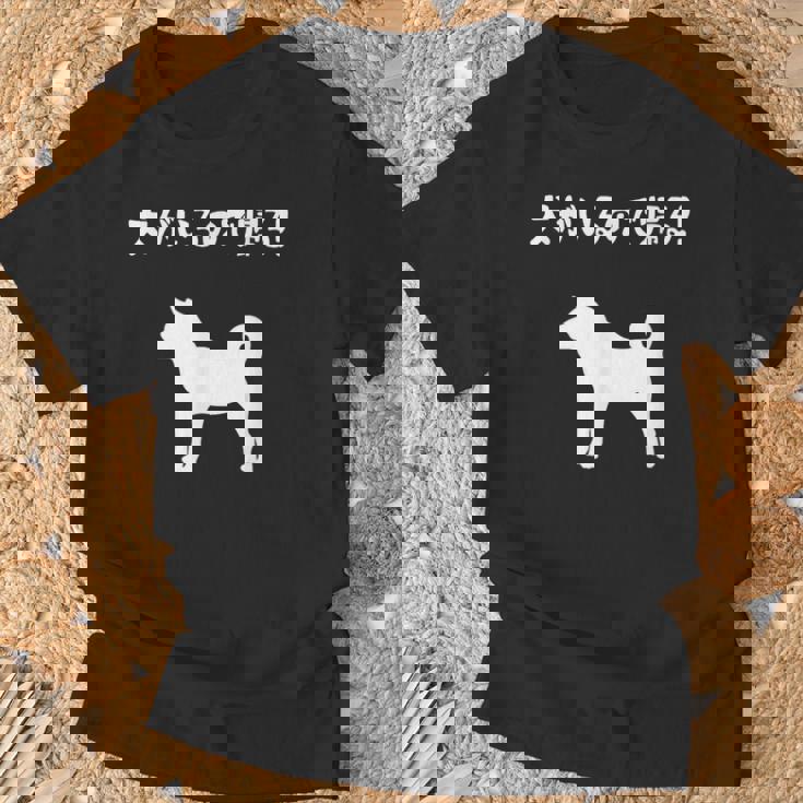 犬がいるので帰る！ 柴犬 犬の飼い主 おもしろ 愛犬家 ワンちゃん好き 犬ママ 犬パパ 犬好き Tシャツ 高齢者への贈り物