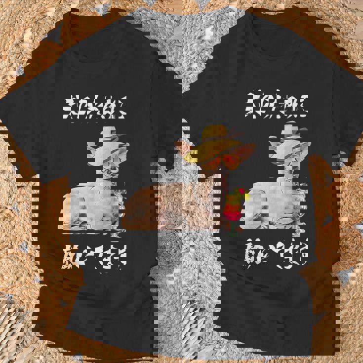 犬のために働いてます チワワデザイン イヌ わんこ 犬好き グッズ おもしろ 面白い 服 ネタ わんこ Tシャツ 高齢者への贈り物