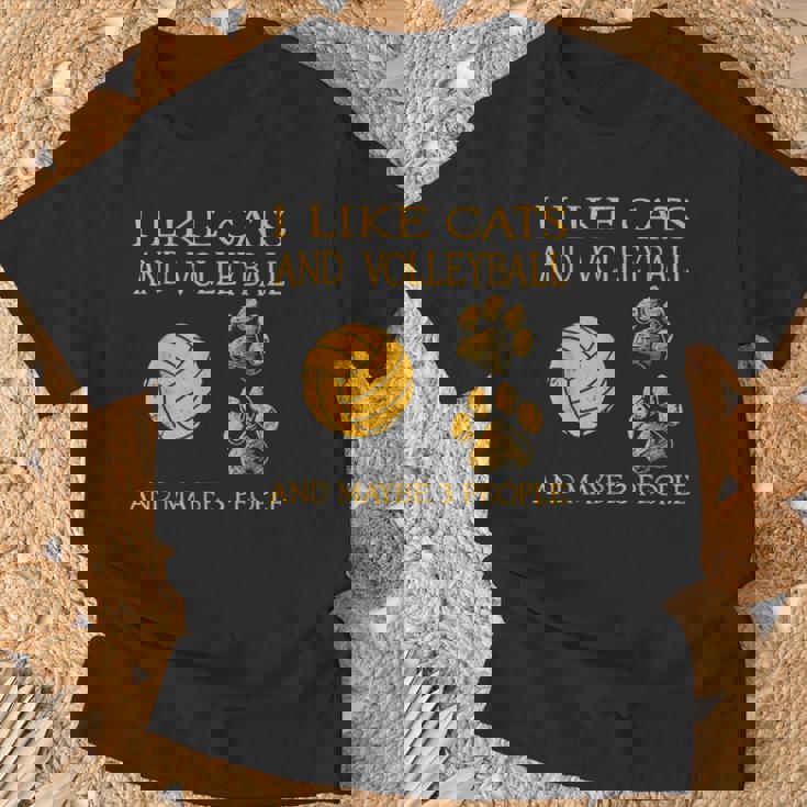 猫やバレーボールが好きで、3人もいるかもしれません。 Tシャツ 高齢者への贈り物