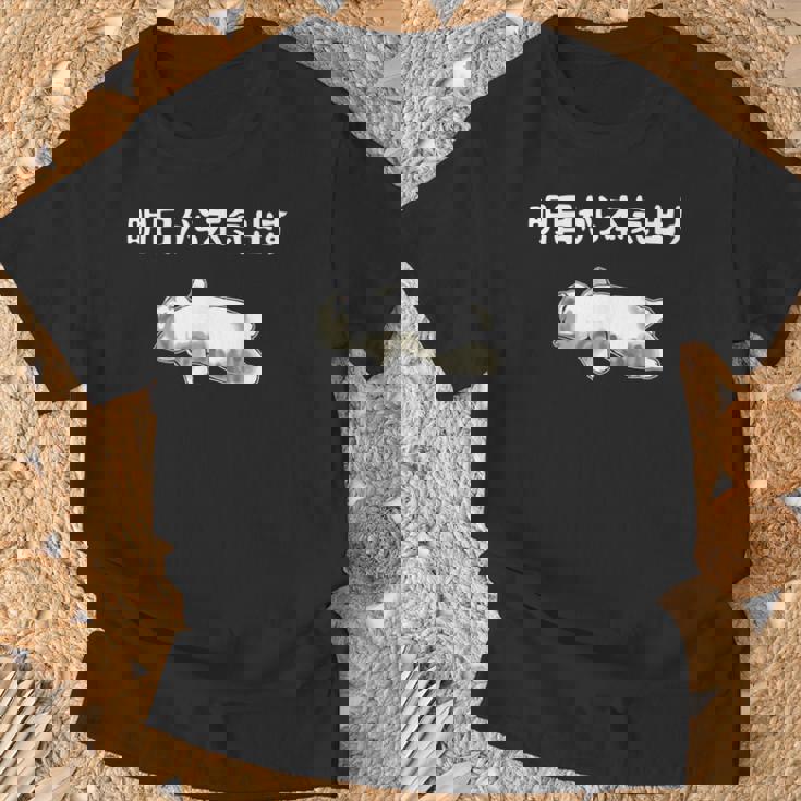 猫好きのためのデザイン メンズ レディース 半袖 明日から本気出す猫のことわざ おもしろ ネタ Tシャツ 高齢者への贈り物