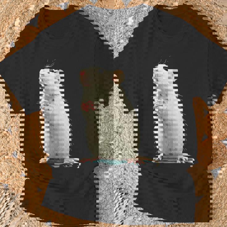 白いネズミが好きな人のための面白い見た目の白いネズミ Tシャツ 高齢者への贈り物