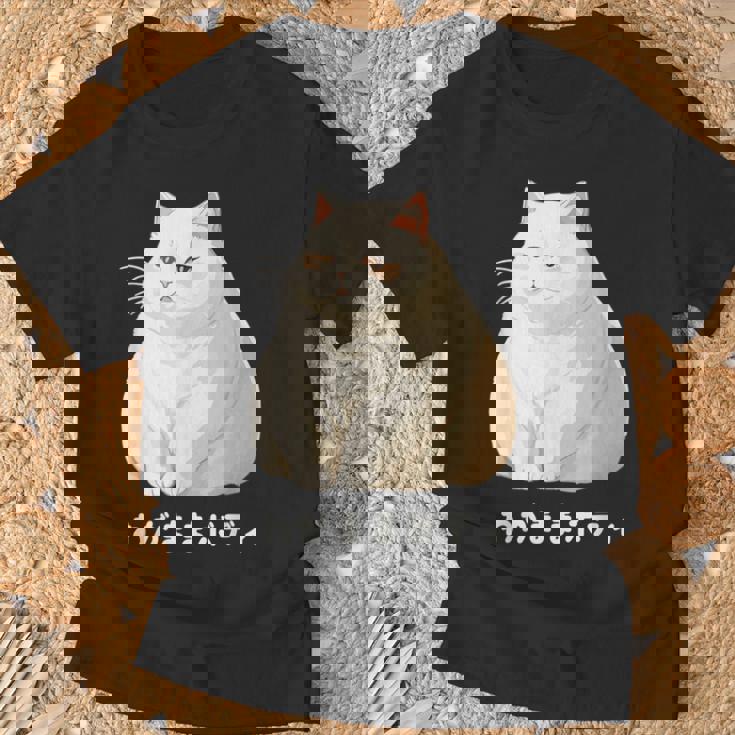私の体の猫 白猫 太った猫 ぽっちゃり猫愛好家 かわいい 面白い Tシャツ 高齢者への贈り物