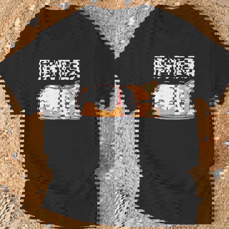 筋肉痛は裏切らない 柴犬 面白いtシャツ 筋トレ 文字入り メンズ おもしろ 面白い 服 おもしろグッズ 文字 Tシャツ 高齢者への贈り物