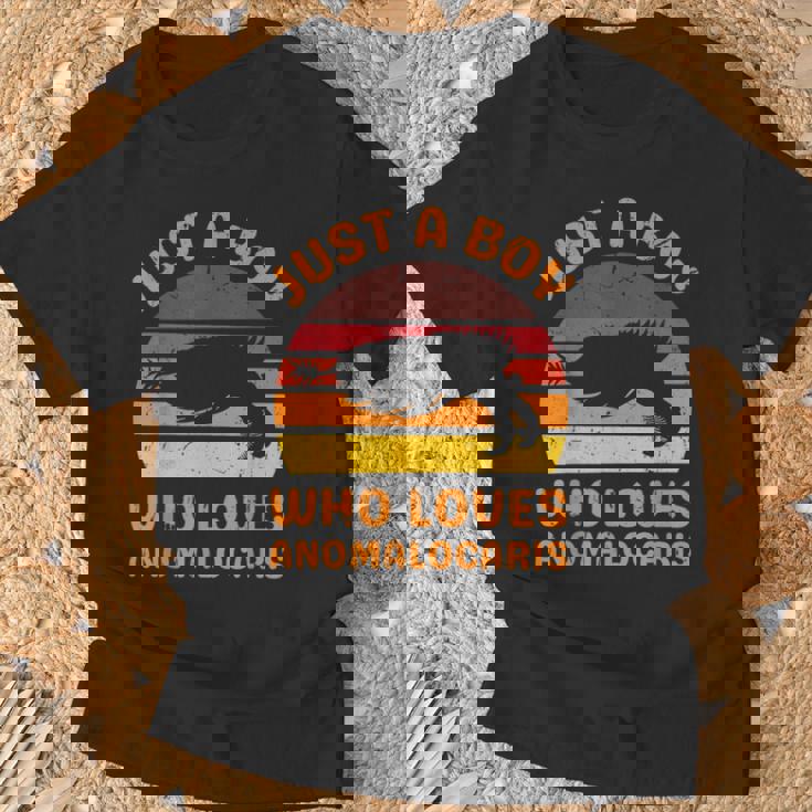 絶滅した節足動物アノマロカリスが大好きなただの少年 Tシャツ 高齢者への贈り物