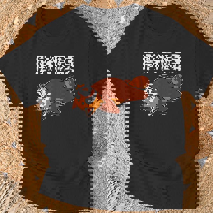 腰が限界 柴犬 面白いtシャツ 文字入り メンズ おもしろ 面白い 服 オリジナル おもしろグッズ 文字 Tシャツ 高齢者への贈り物