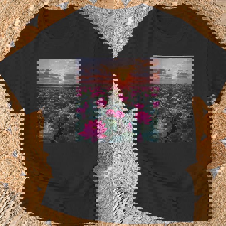 蓮の花畑 美しい夕日のグラフィック Tシャツ 高齢者への贈り物