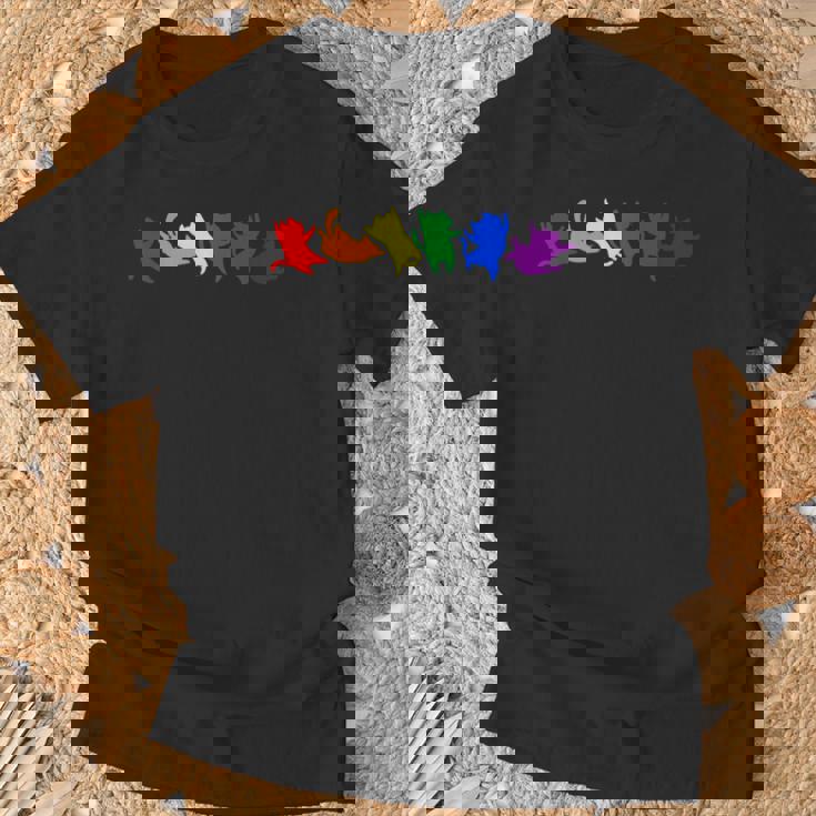 遊び好きなレインボーキャット Lgbtq プライド 楽しい Tシャツ 高齢者への贈り物