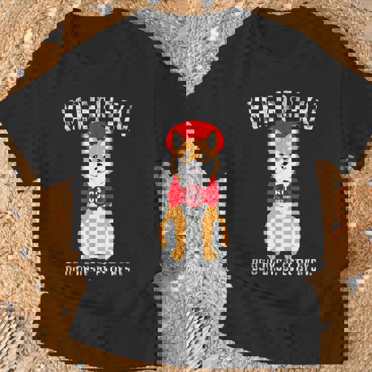 還暦祝い 犬 柴犬 ちゃんちゃんこ 男性 女性 犬好き 60歳 Dog Days Best Days Tシャツ 高齢者への贈り物