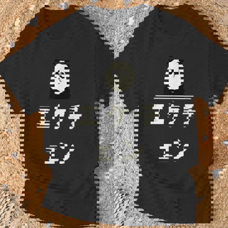 面白い 「エケチェン」おもしろギャグ-ジョーク 漢字 えけちぇん 文字入り Tシャツ 高齢者への贈り物