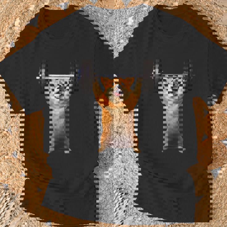 面白いtシャツ コーギー 犬 イヌ わんこ メンズ 犬好き グッズ かわいい 面白い 服 ネタ 筋トレ Tシャツ 高齢者への贈り物