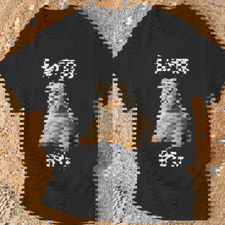 面白いtシャツ シュナウザー わがままボディ イヌ 犬 メンズ 犬好き グッズ おもしろ 面白い 服 ネタ Tシャツ 高齢者への贈り物