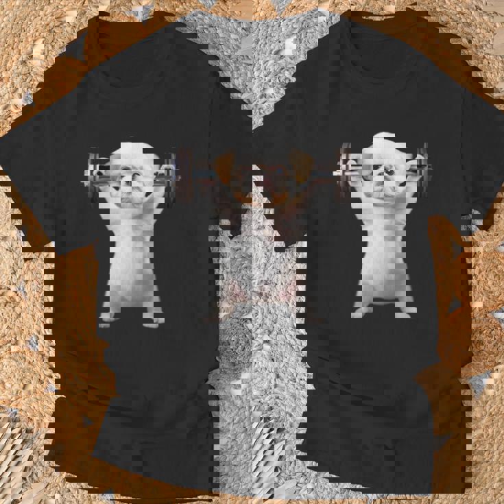 面白いtシャツ シーズー 犬 イヌ わんこ メンズ 犬好き グッズ かわいい 面白い 服 ネタ 筋トレ Tシャツ 高齢者への贈り物