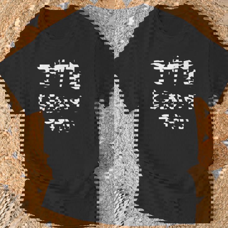 面白いtシャツ ダイエット 減量 メンズ レディース おもしろ 筆文字 面白い 服 おもしろグッズ 文字tシャツ ネタ Tシャツ 高齢者への贈り物