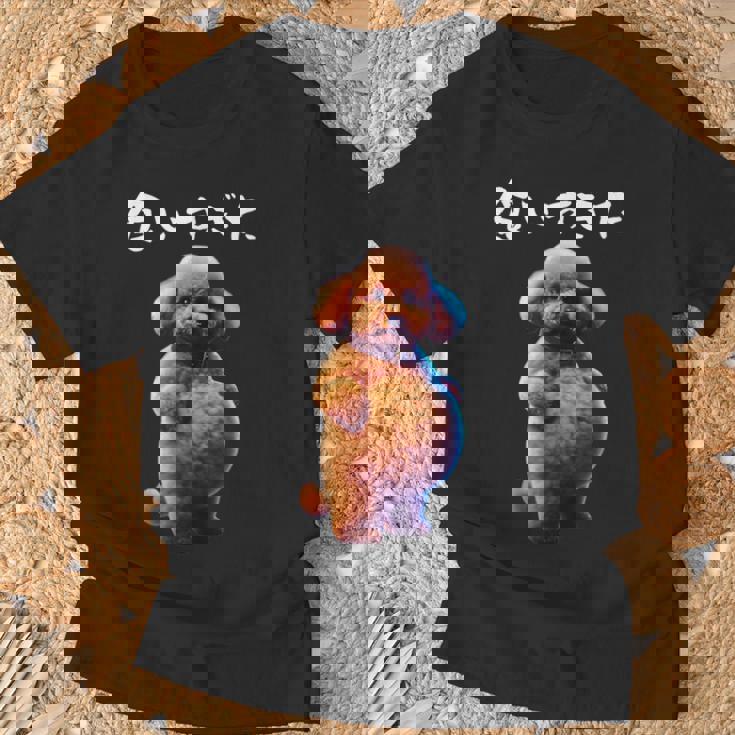 面白いtシャツ トイプードル わがままボディ イヌ 犬 メンズ 犬好き グッズ おもしろ 面白い 服 ネタ Tシャツ 高齢者への贈り物