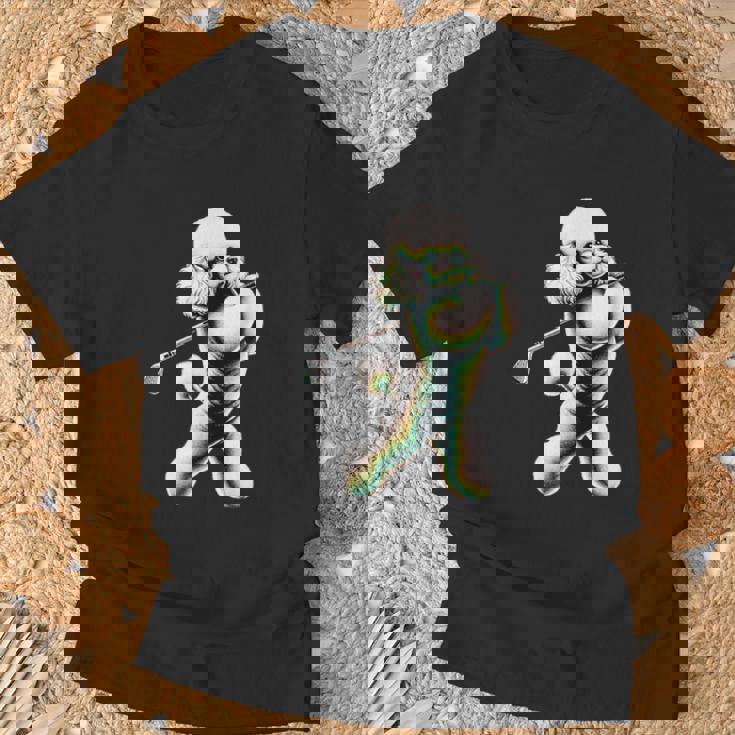 面白いtシャツ トイプードル ゴルフ イヌ メンズ 犬好き グッズ かわいい おもしろ 面白い 服 ネタ Tシャツ 高齢者への贈り物