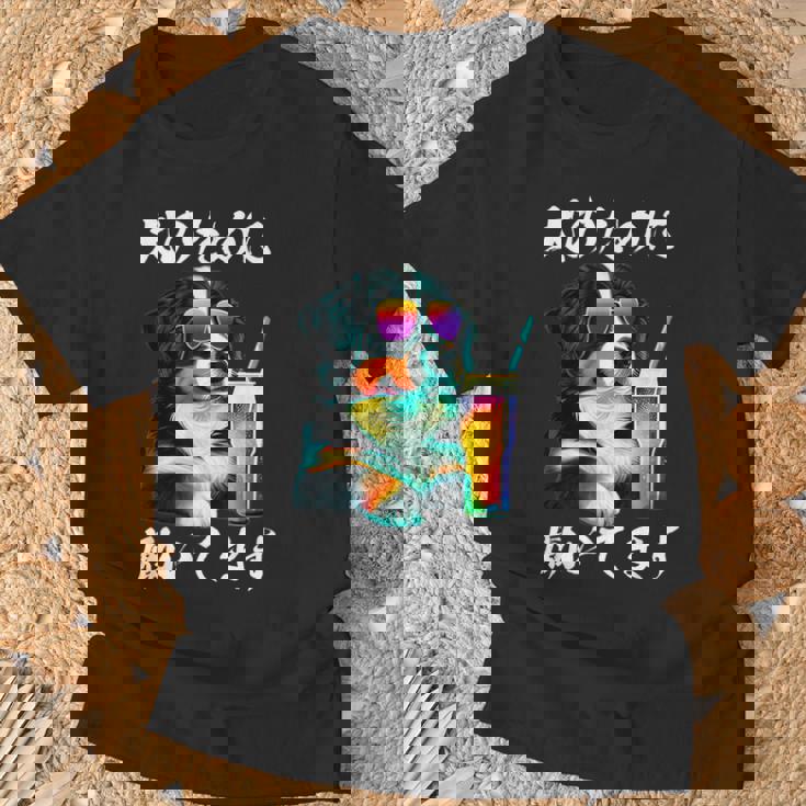 面白いtシャツ バーニーズマウンテンドッグ イヌ わんこ メンズ 犬好き グッズ おもしろ 面白い 服 ネタ Tシャツ 高齢者への贈り物