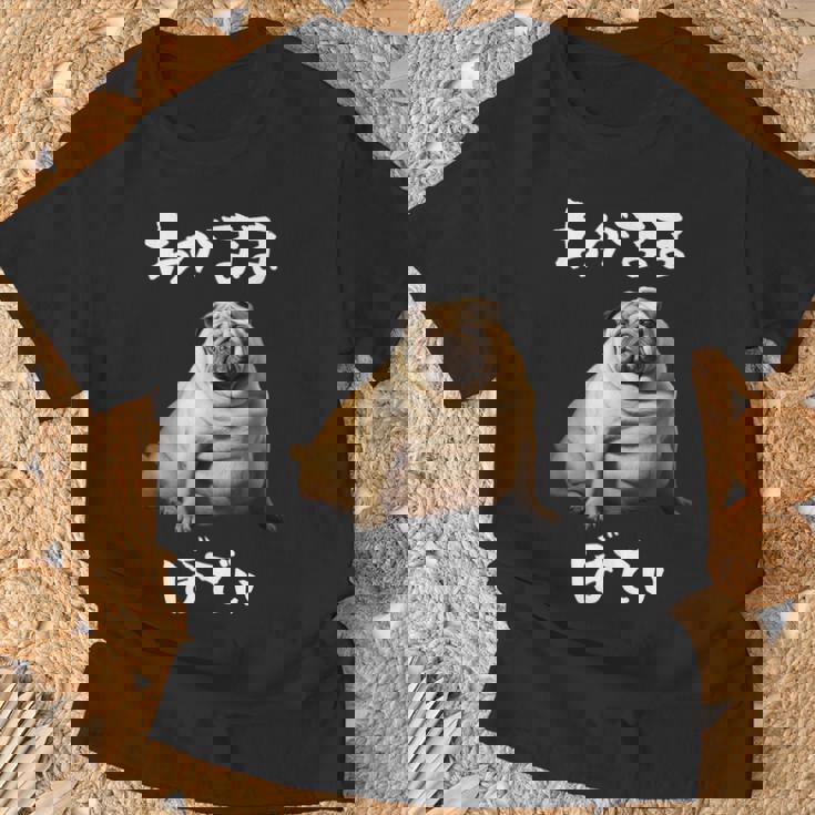面白いtシャツ パグ わがままボディ イヌ 犬 わんこ メンズ 犬好き グッズ おもしろ 面白い 服 ネタ Tシャツ 高齢者への贈り物