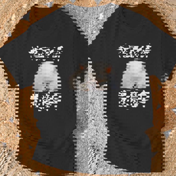 面白いtシャツ ポメラニアン やる気スイッチ イヌ メンズ 犬好き グッズ おもしろ 面白い 服 ネタ Tシャツ 高齢者への贈り物