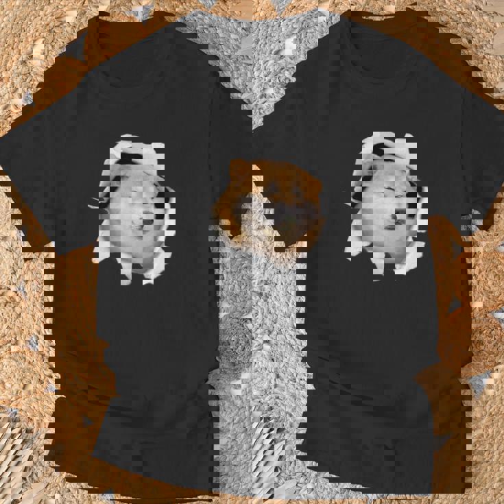 面白いtシャツ 柴犬 シバイヌ 犬 イヌ わんこ メンズ 犬好き グッズ かわいい 面白い 服 ネタ Tシャツ 高齢者への贈り物