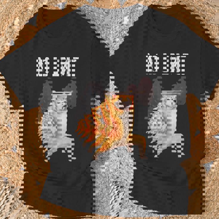 面白いtシャツ 柴犬 犬 イヌ わんこ メンズ 犬好き グッズ かわいい 面白い 服 ネタ 筋トレ Tシャツ 高齢者への贈り物