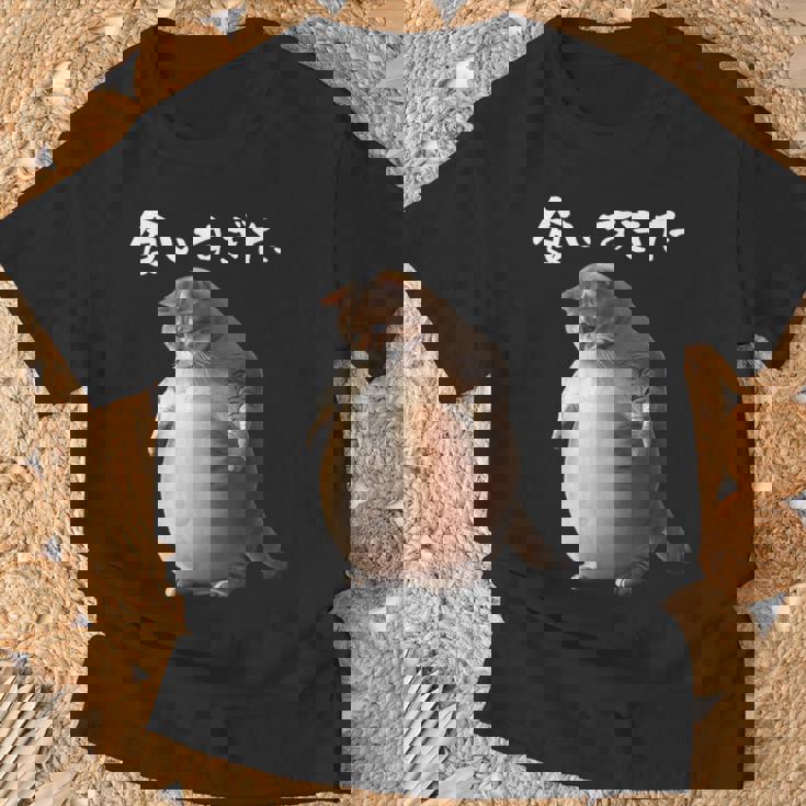 面白いtシャツ 猫 ネコ メンズ 猫好き グッズ おもしろ 面白い 服 ネタ にゃんこ 猫の下僕 ダイエット Tシャツ 高齢者への贈り物