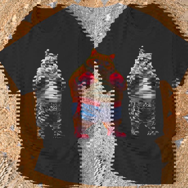 面白いボクシング ジム ワークアウト 猫 ボクシング グローブ アニメ ミーム Tシャツ 高齢者への贈り物