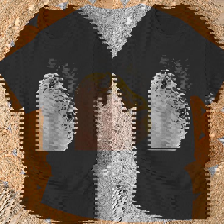 面白い好奇心が強い爬虫類ヒョウモントカゲモドキ Tシャツ 高齢者への贈り物