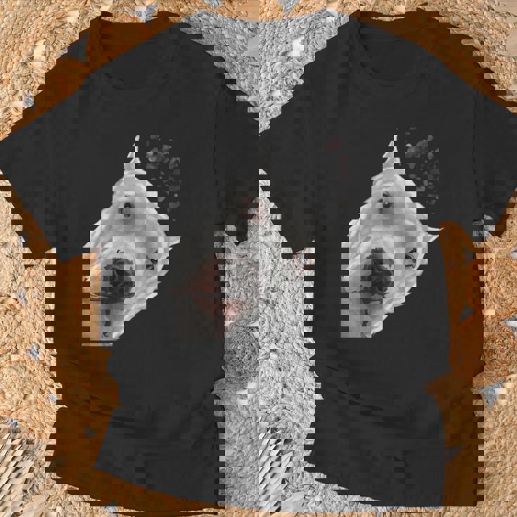 面白い好奇心旺盛な犬ドゴアルヘンティーノ Tシャツ 高齢者への贈り物