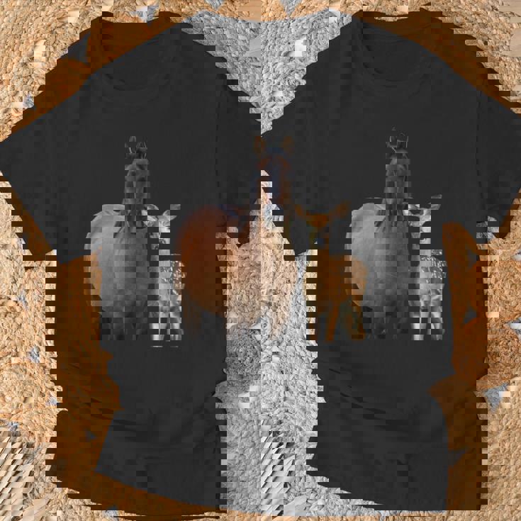 馬 鹿 面白いtシャツ バカ メンズ おもしろ 面白い 服 オリジナル おもしろグッズ ネタ 動物 ウマ シカ Tシャツ 高齢者への贈り物