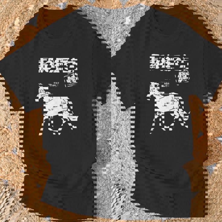 馬の撫で方解説 乗馬好き 乗馬 趣味 競争馬好き おもしろ 乗馬クラブ かわいい 馬好き 馬 Tシャツ 高齢者への贈り物