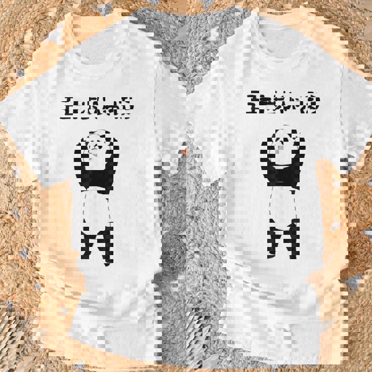 50 ステップ ヒャチャホ レッサーパンダ ネタ 格言 ジョーク ギャグ ダジャレ ツッコミ 面白い メンズ Tシャツ 高齢者への贈り物