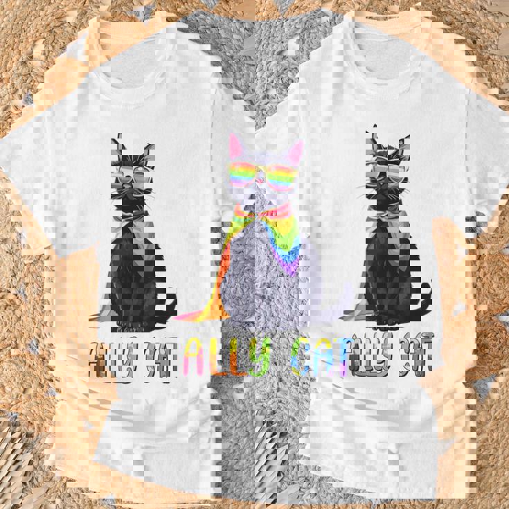 Ally Cat Lgbtゲイプライド月間2025レインボー平等権 Tシャツ 高齢者への贈り物
