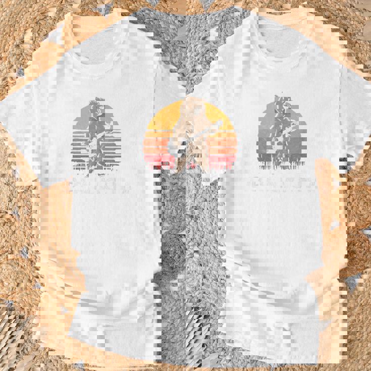 Appalachia Bluegrass Banjo Bear Retro Tシャツ 高齢者への贈り物