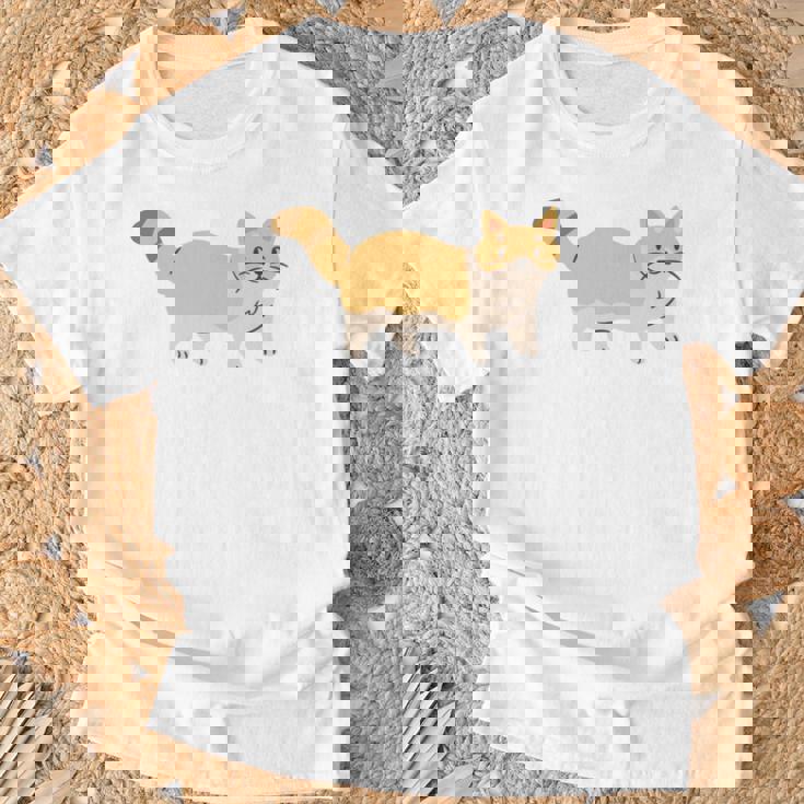 Everybody Want To Be A Cat Pet Cat Lover 長袖tシャツ Tシャツ 高齢者への贈り物