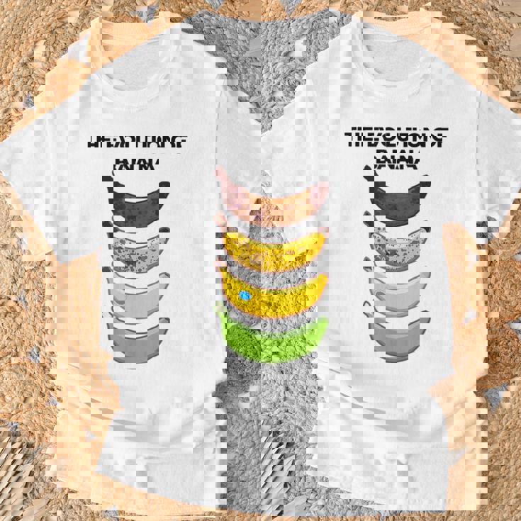 The Evolution Of Banana Novelty Graphic & Cool s Tシャツ 高齢者への贈り物