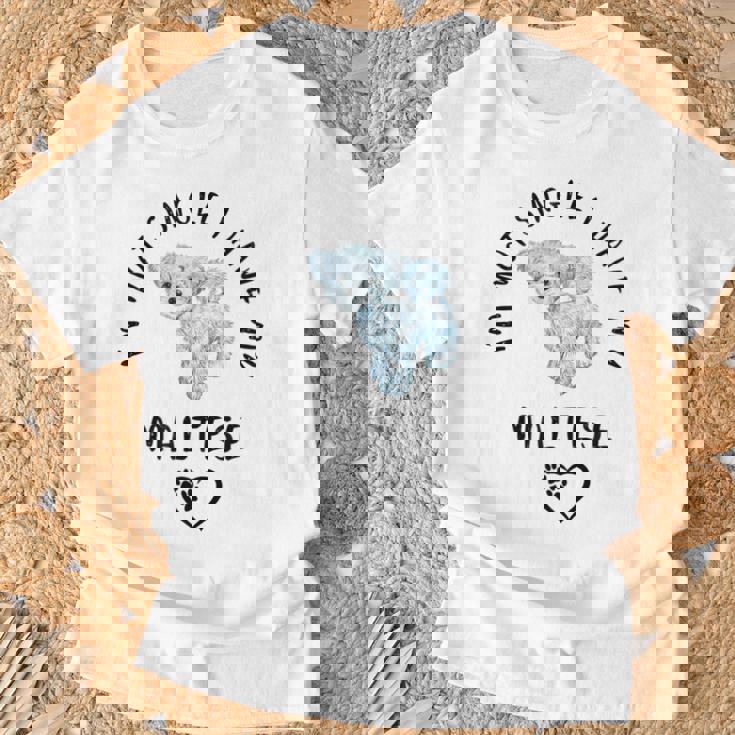 I'm Notingle I Have My Maltesealentines マルチーズ犬 Tシャツ 高齢者への贈り物