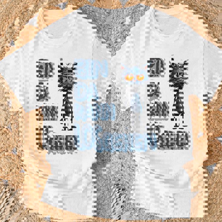 Katze Bin Da 'T Losgehen ファニーステートメントキャット Tシャツ 高齢者への贈り物